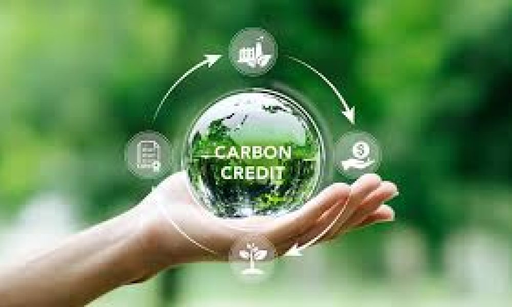 Global Carbon Credit Market