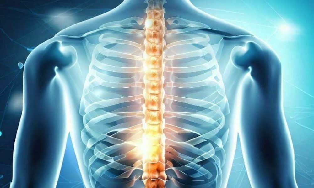 Global Spine Implants Market