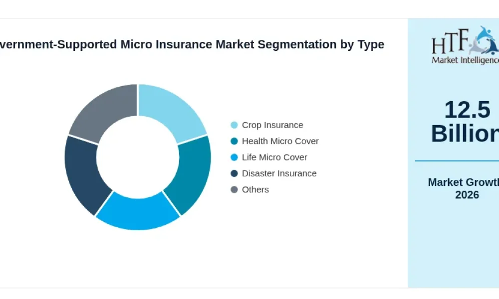 Government-Supported Micro Insurance Market