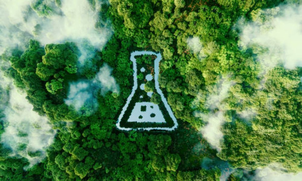 A tube-shaped pond in the middle of a lush virgin rainforest.  3d rendering.