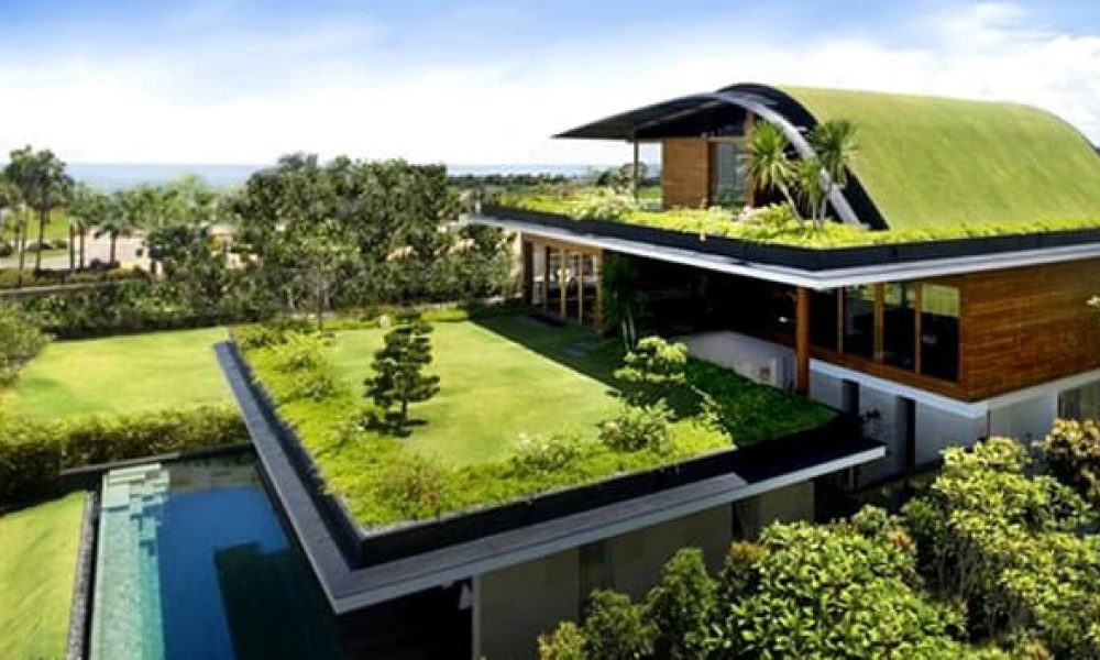 Green Home Design Market