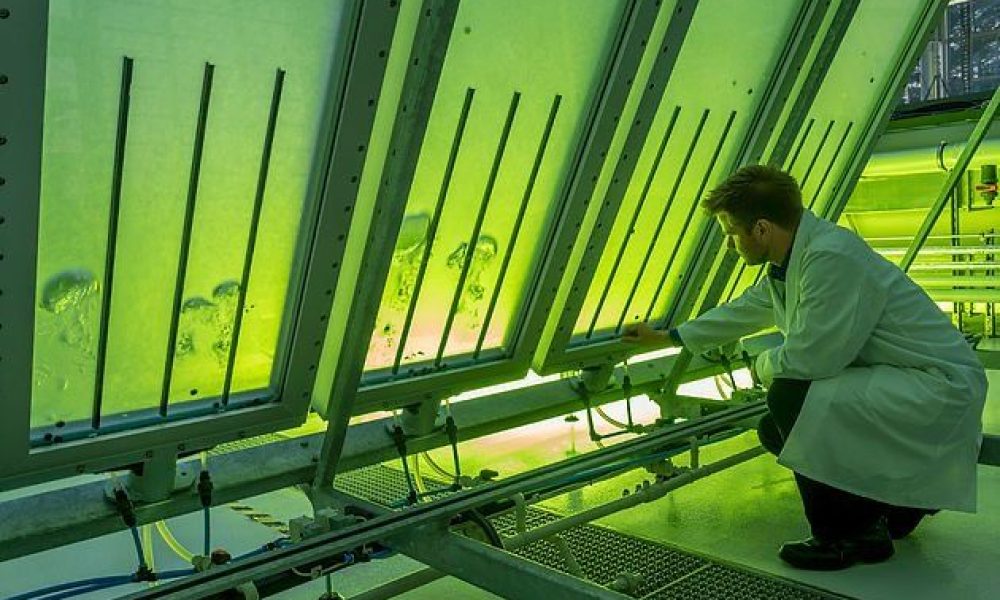 Green lab technology Market