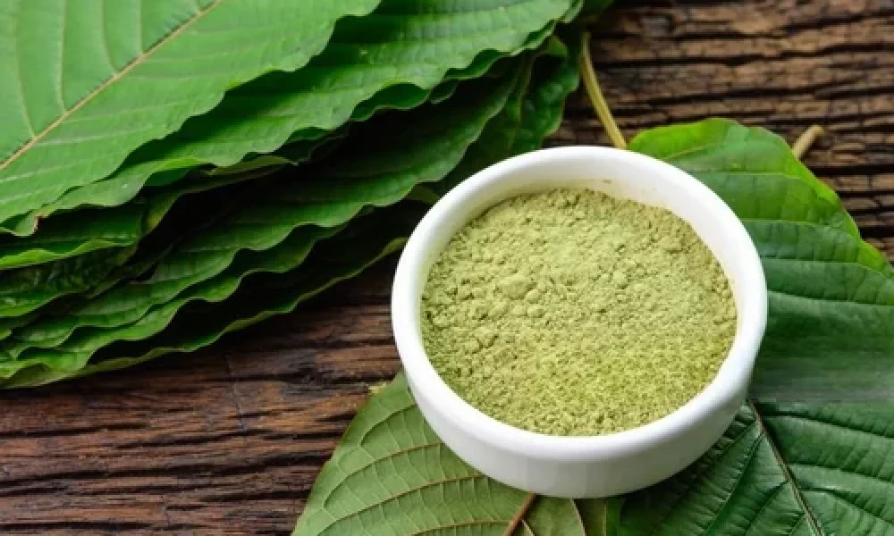 Guava Leaf Extract Market
