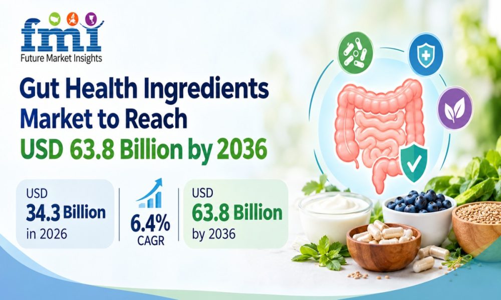 Gut Health Ingredients Market