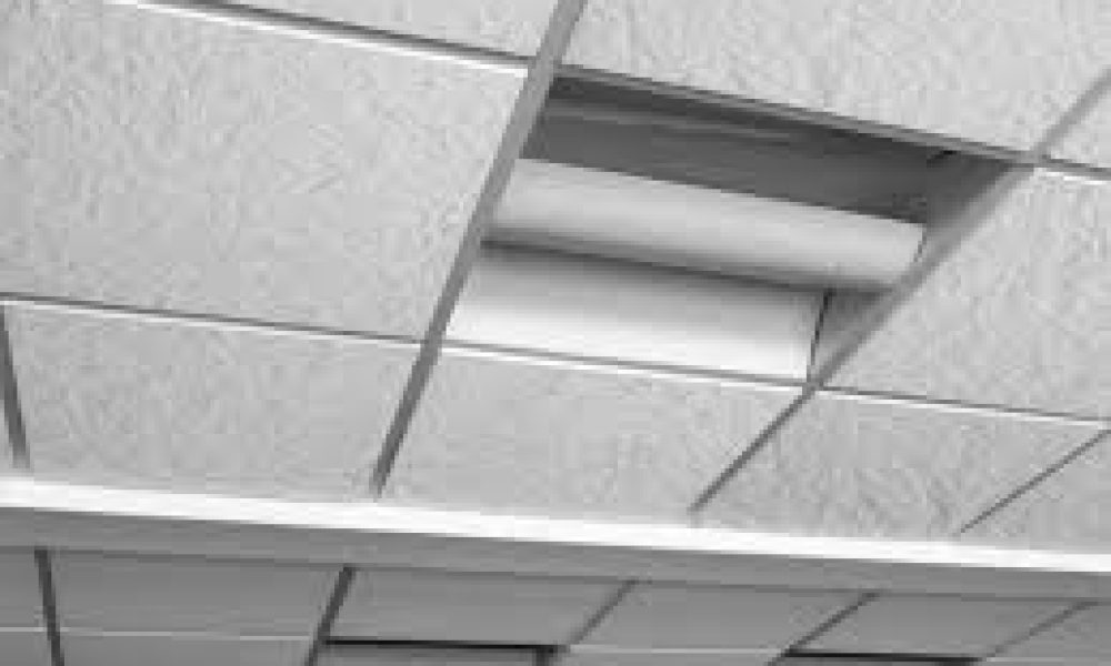 Gypsum Board