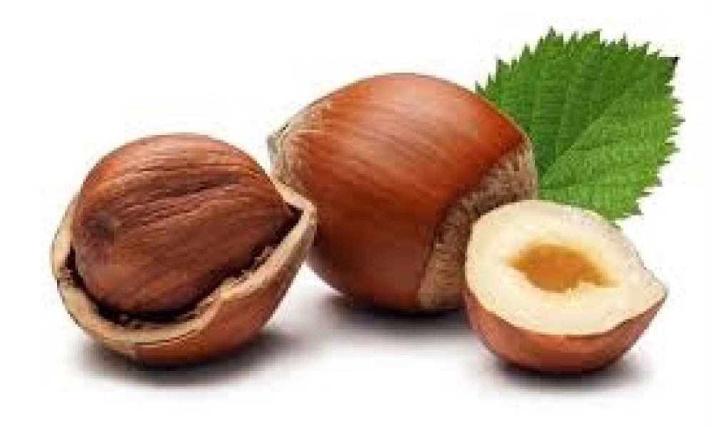 Hazelnut Market to See Huge Demand by 2030: BALSU, Karimex Nuts ...