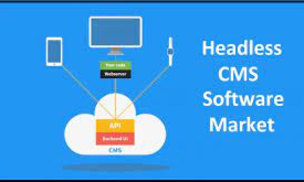 Headless CMS Software Market