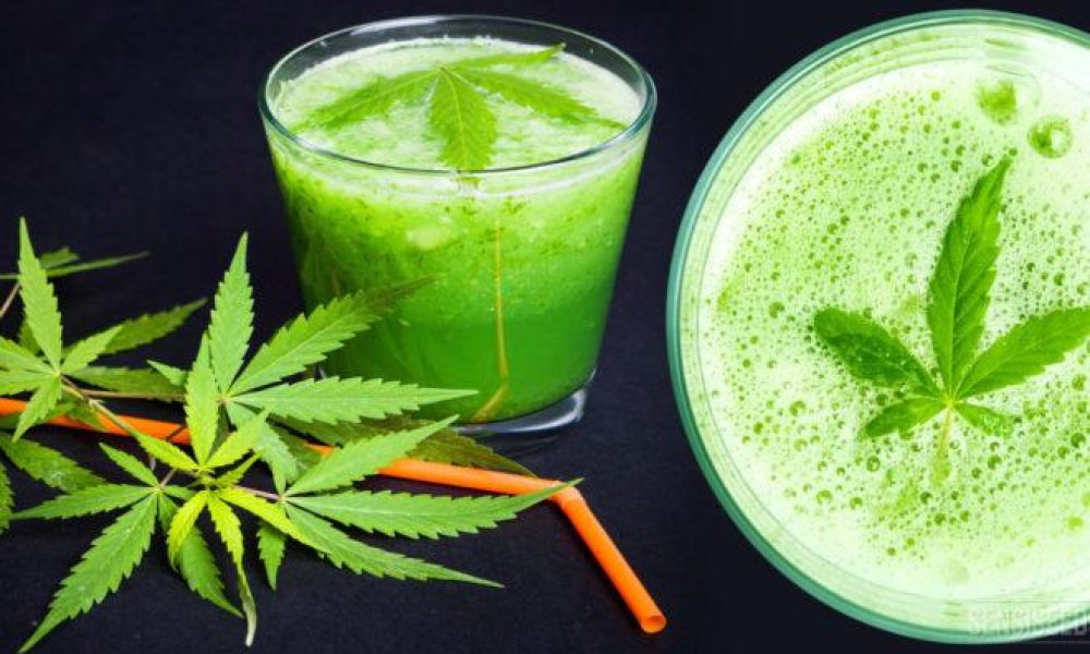 Hemp Juice Market