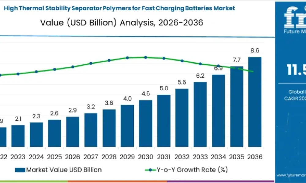 High‑Thermal‑Stability Separator Polymers for Fast‑Charging Batteries Market