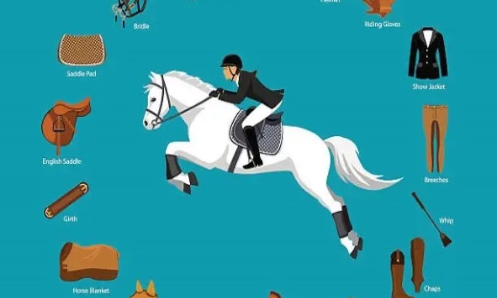 Horse Riding Equipment Market to See Booming Growth Decathlon