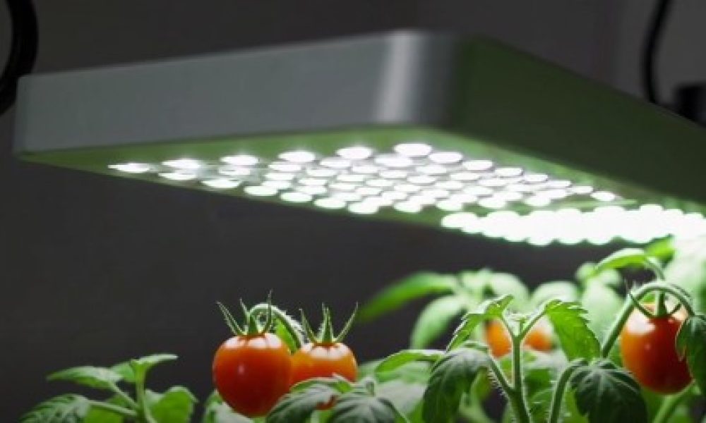 Horticultural Lighting Market