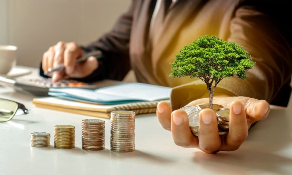 How does Financial Coaching Help in Improving Financial Planning and Secure Your Future? Know in Detail
