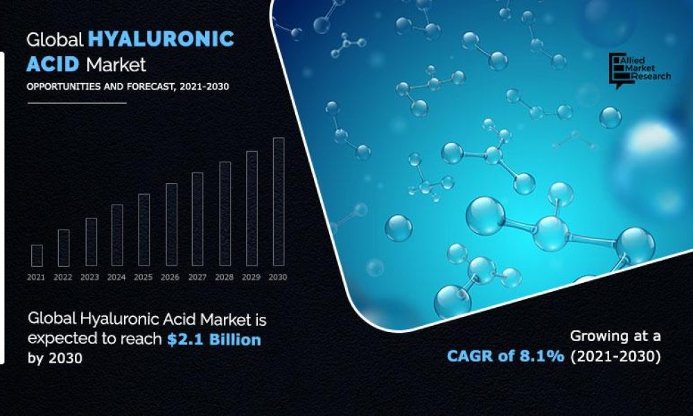 Hyaluronic Acid Market