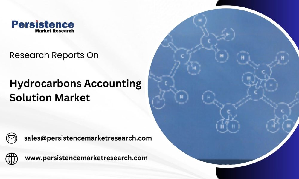 Hydrocarbons Accounting Solution Market (1)