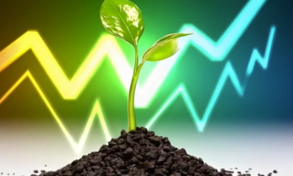Hydroponics Fertilizer Market