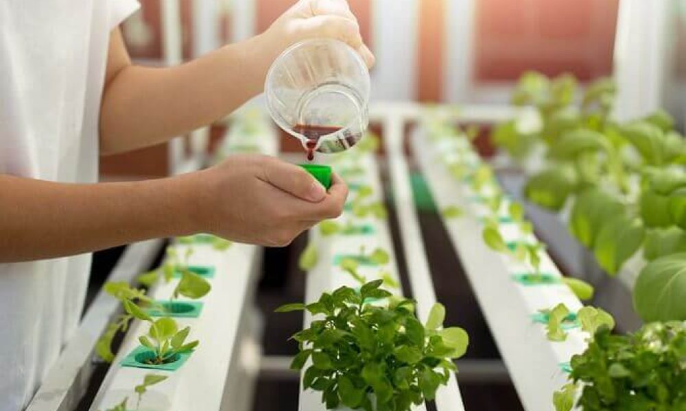Hydroponics Nutrient