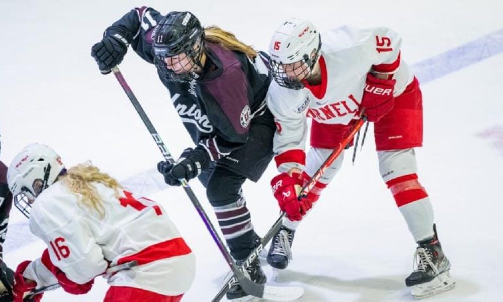 Ice Hockey Protective Gear Market
