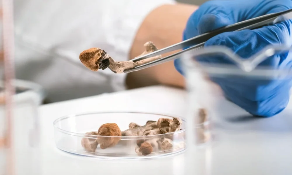 Psilocybin Assisted Therapy Market