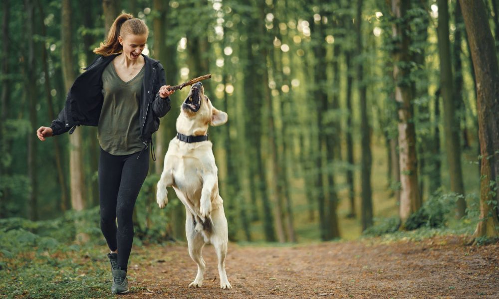 Importance of daily exercise for your dog's physical and mental health