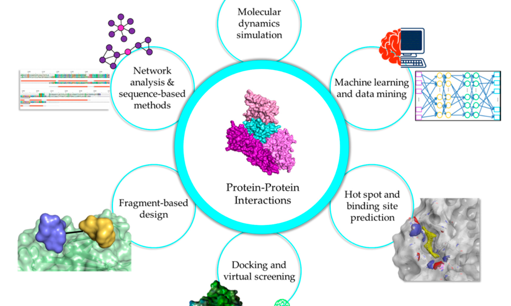 In Silico Pharmacology Modeling Market