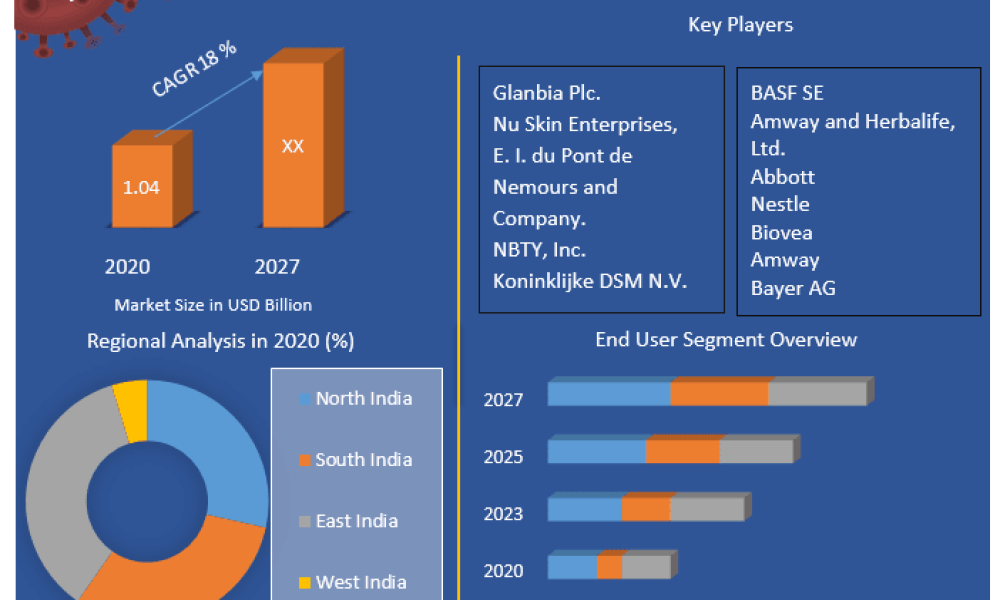 India Mineral Supplements Market