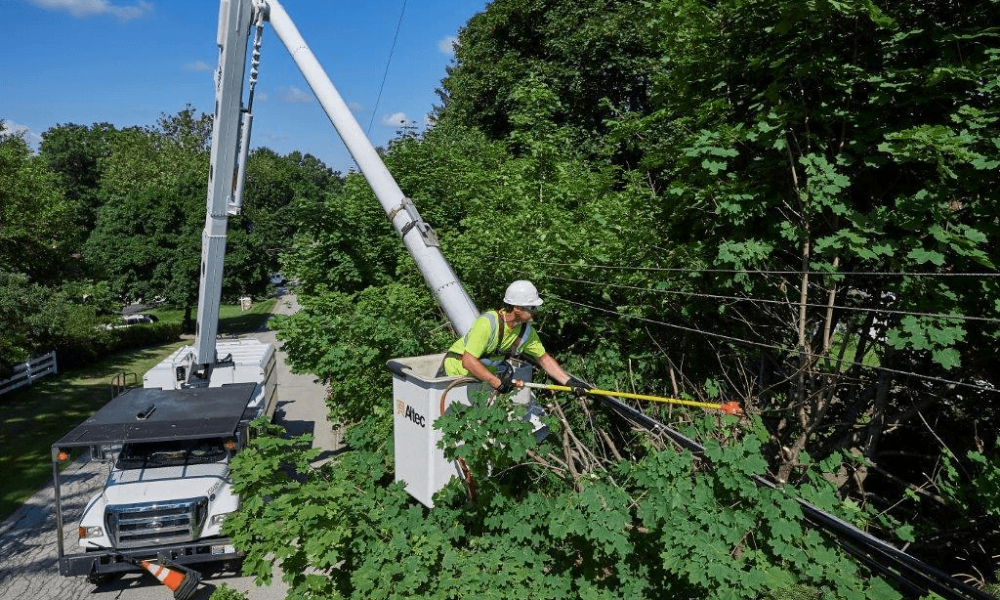 Industrial Vegetation Management Market