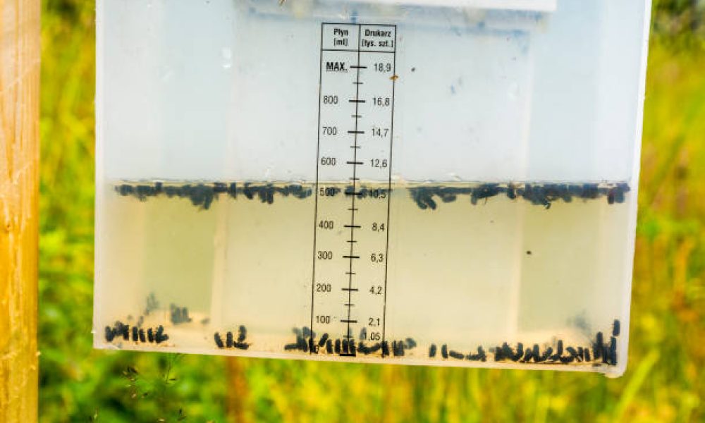Insect Growth Regulator