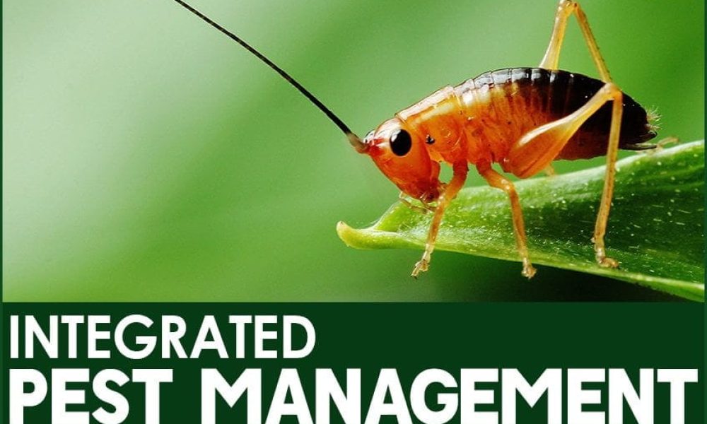 Integrated Pest Management (IPM) Market