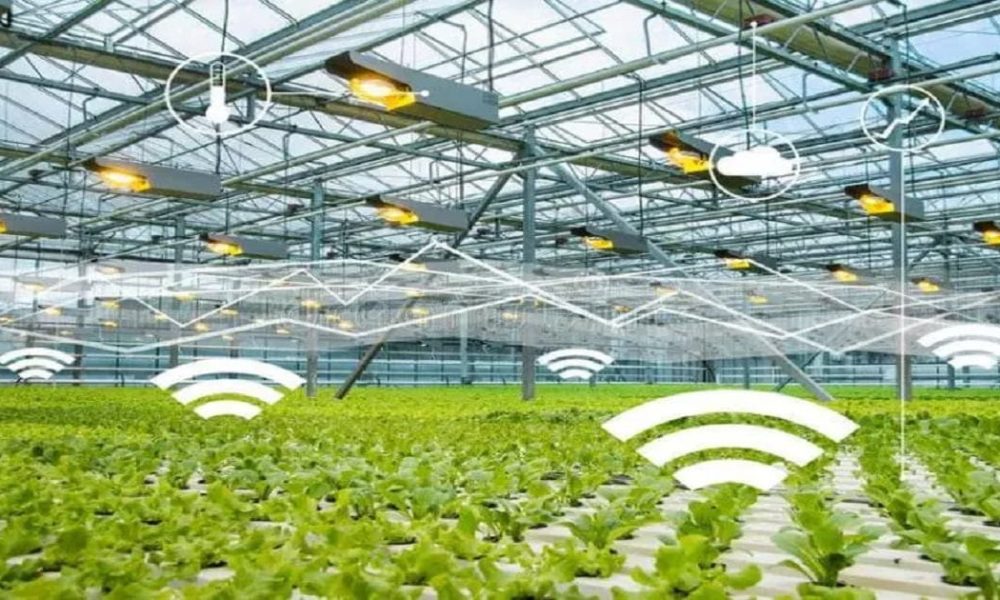 Intelligent Greenhouse Market