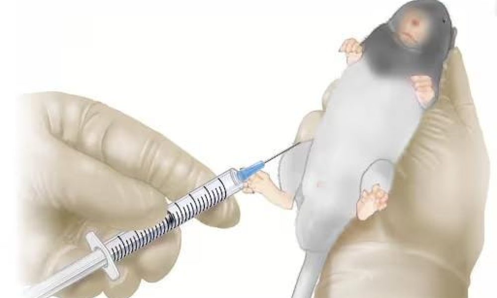 Intraperitoneal Needle Market