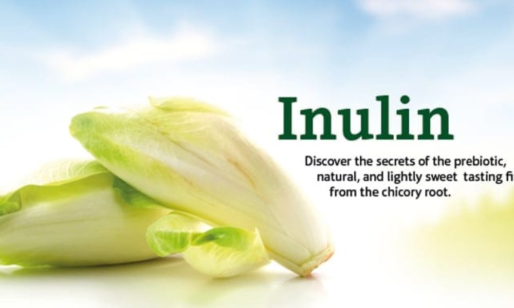 Inulin Market