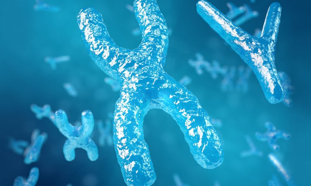 Karyotyping Service Market
