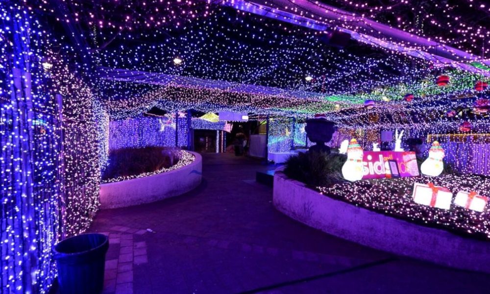 LED Displays, Lighting, and Fixtures Market