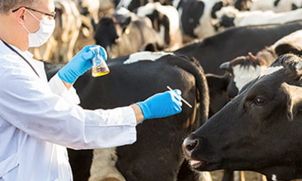 LIVESTOCK-DIAGNOSTICS-MARKET