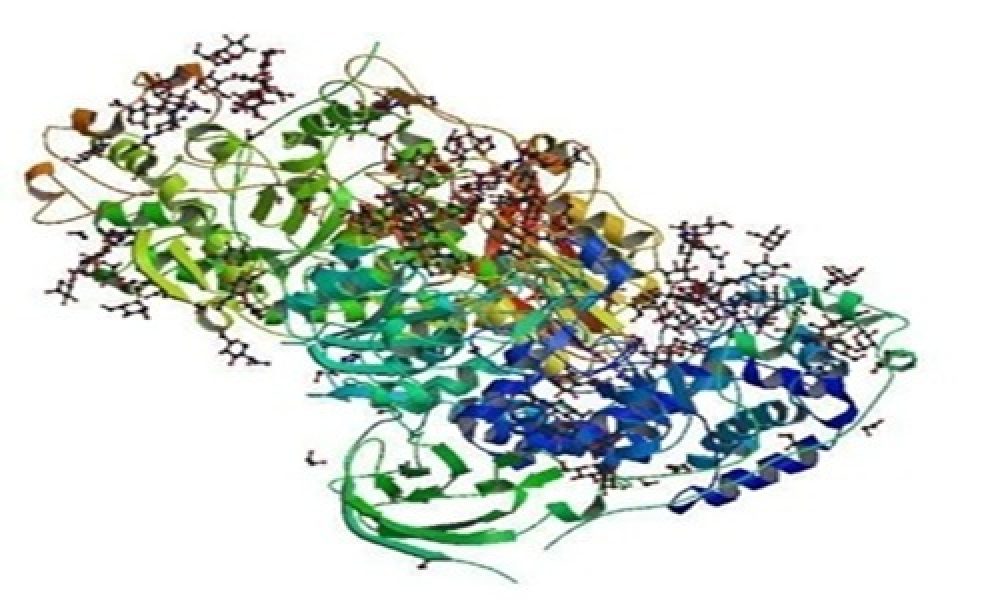 Lactase Enzyme Market to See Huge Growth: Kerry Group, Amano Enzyme ...