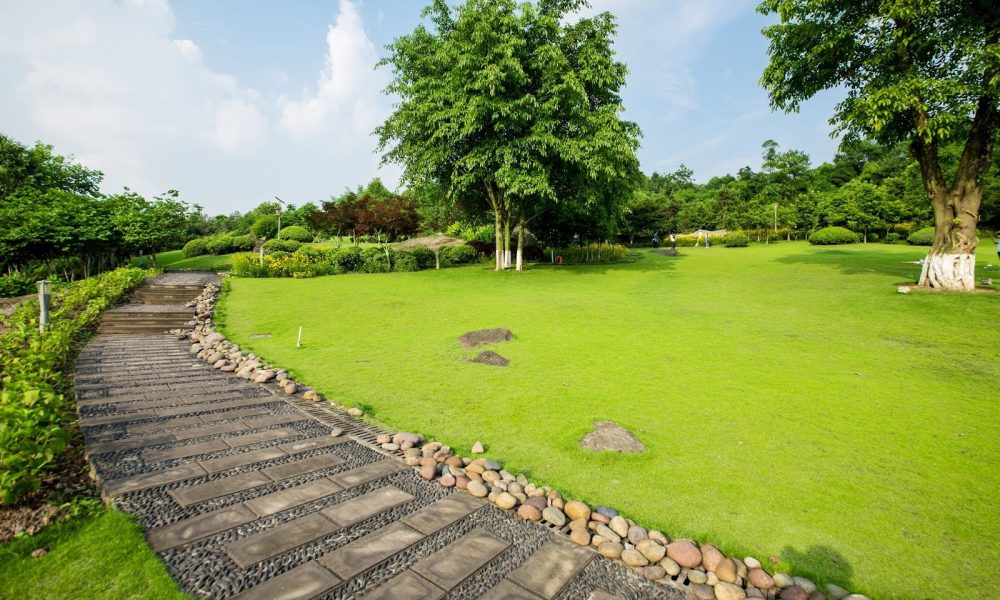 Landscaping in Kansas City, KS Enters a New Phase of Professional Practice