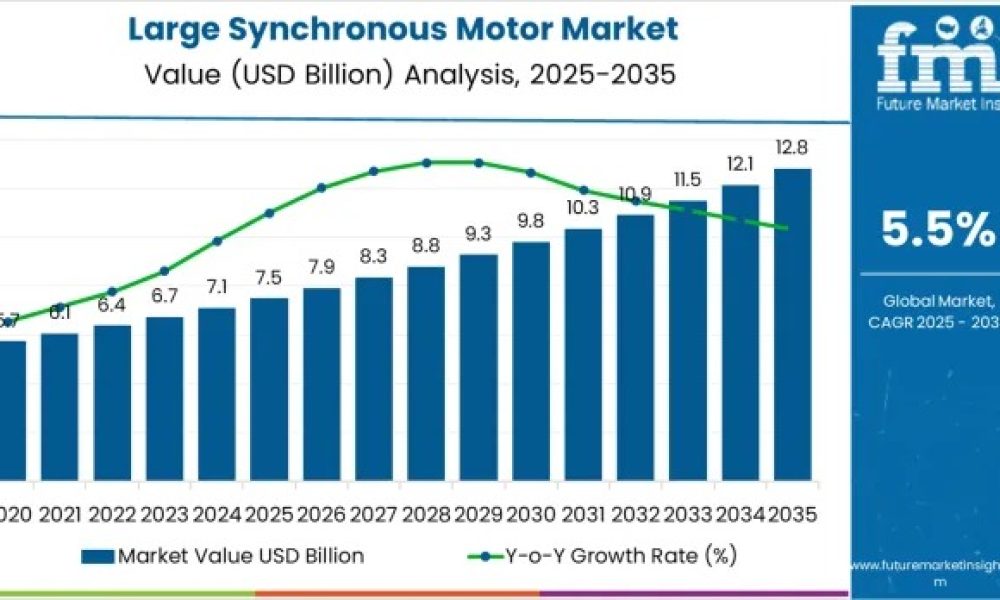 Large Synchronous Motor Market