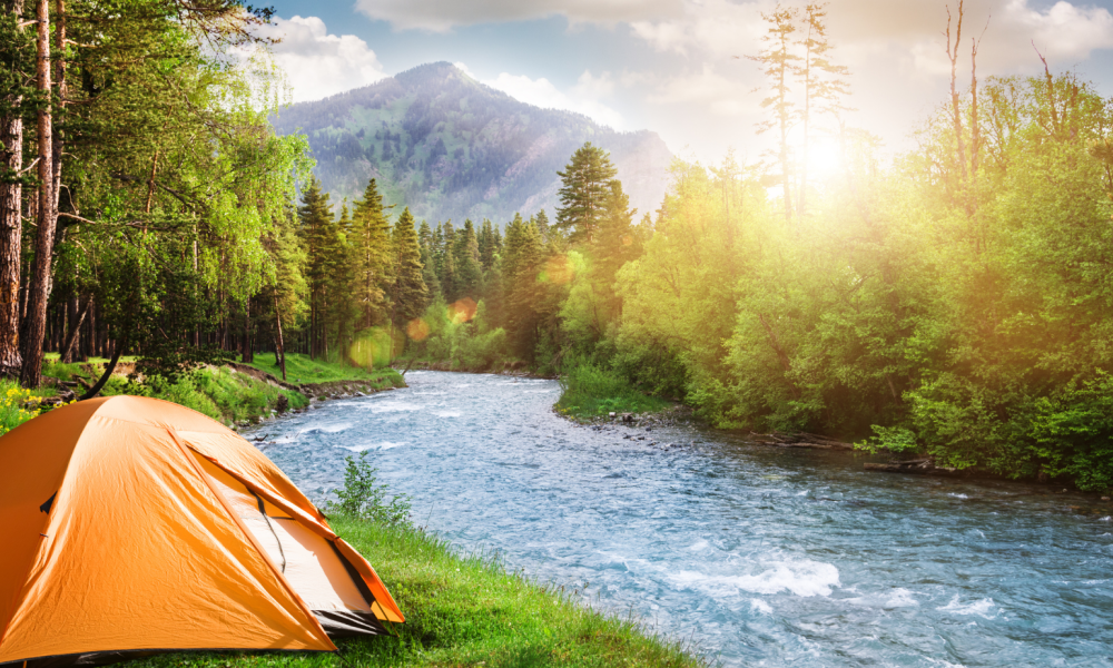 LifeBeyondTheTrail.com