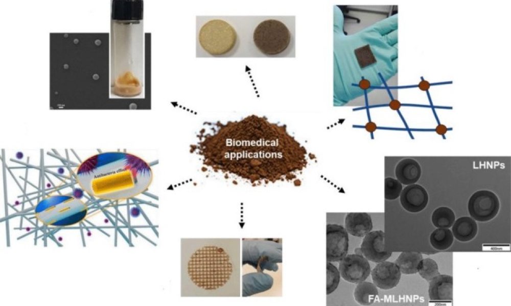 Lignin-based Biopolymers Market