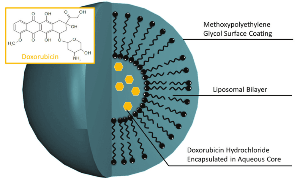 Liposomal Doxorubicin