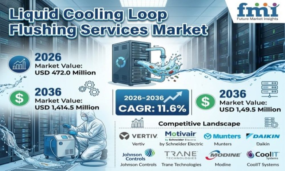 Liquid Cooling Loop Flushing Services Market