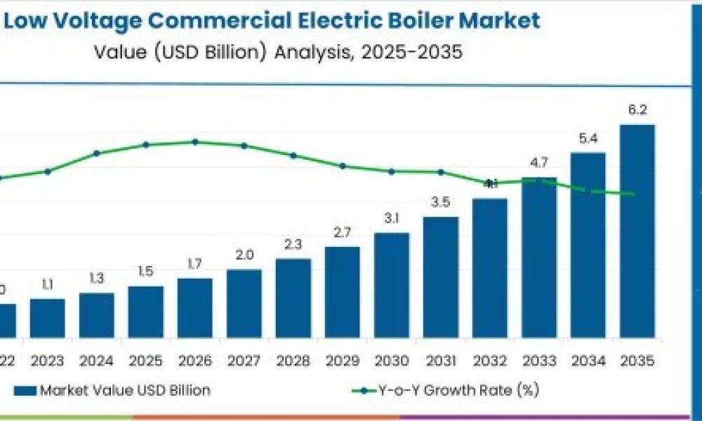 Low Voltage Commercial Electric Boiler Market