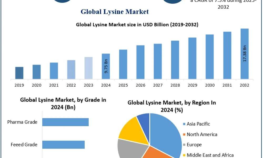 Lysine-Market-2