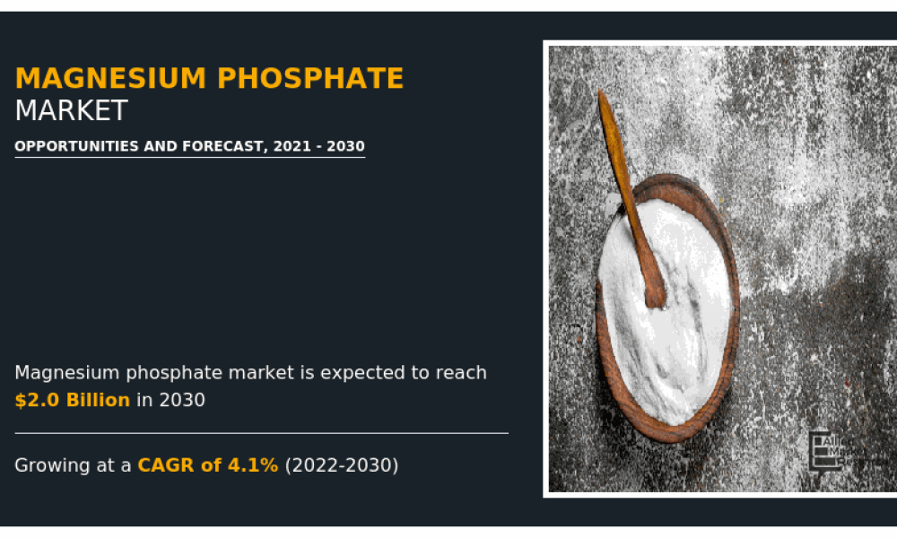 Magnesium Phosphate Market2