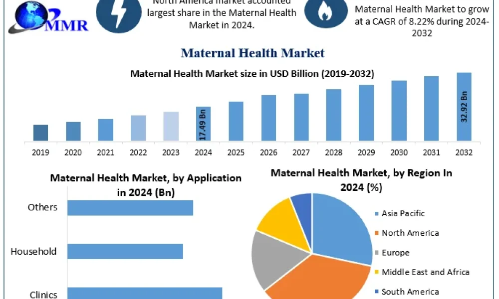 Maternal-Health-Market-Snapshot (1)