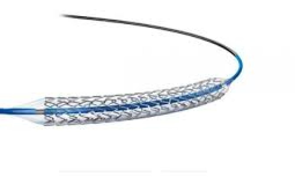Metal Stents