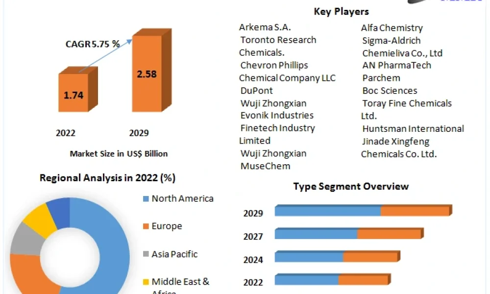 Methyl Mercaptan Market