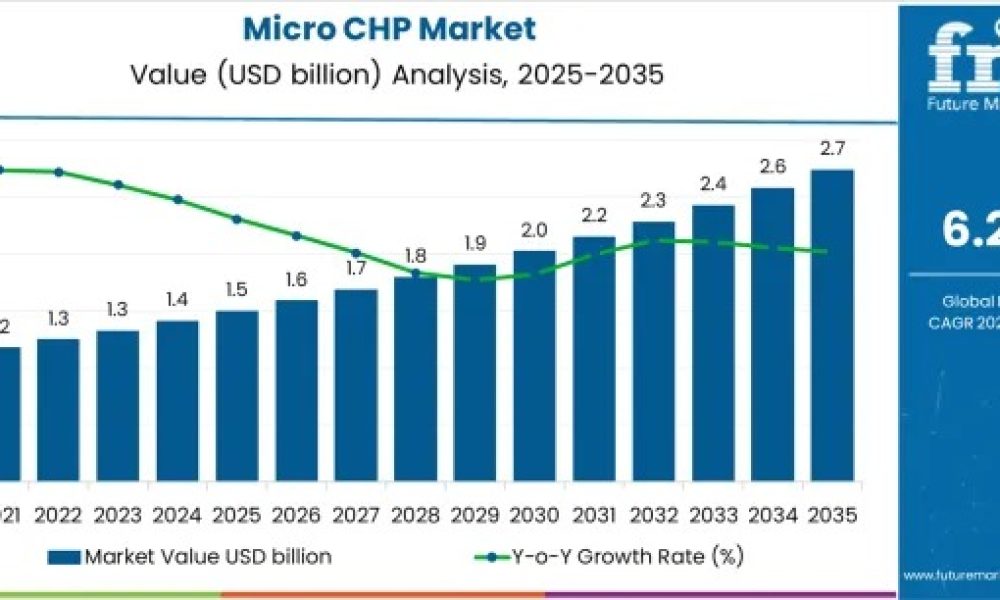 Global Micro CHP Market Outlook 2025–2035: 80% Growth Driven by ...