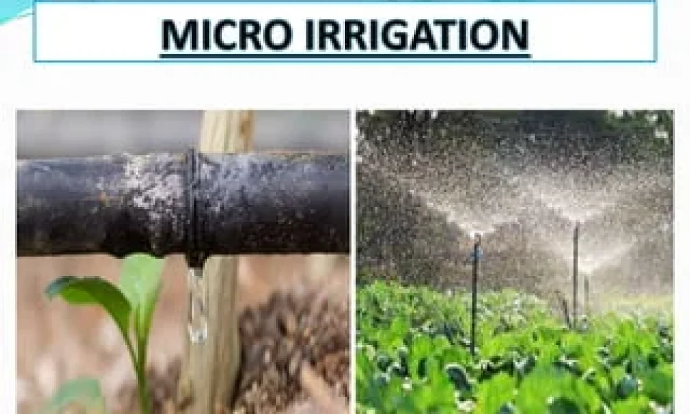 Micro Irrigation Systems
