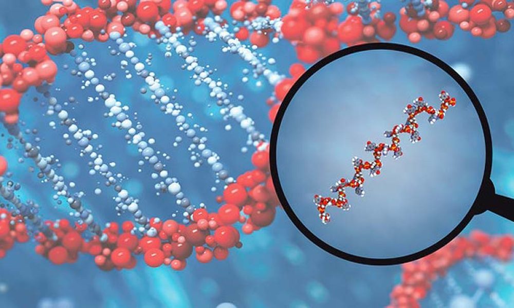MicroRNA